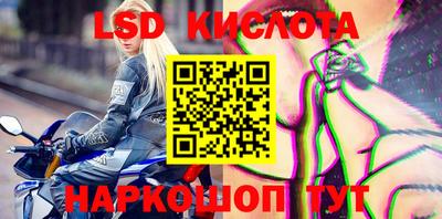 стафф Бердск