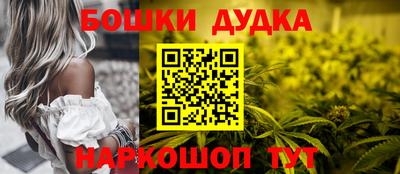стафф Бердск