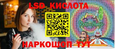 стафф Бердск