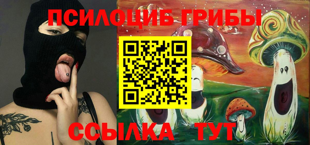 Галлюциногенные грибы мухоморы  Вход с VPN  Галлюциногенные грибы MAGIC MUSHROOMS  купить   Тайшет 