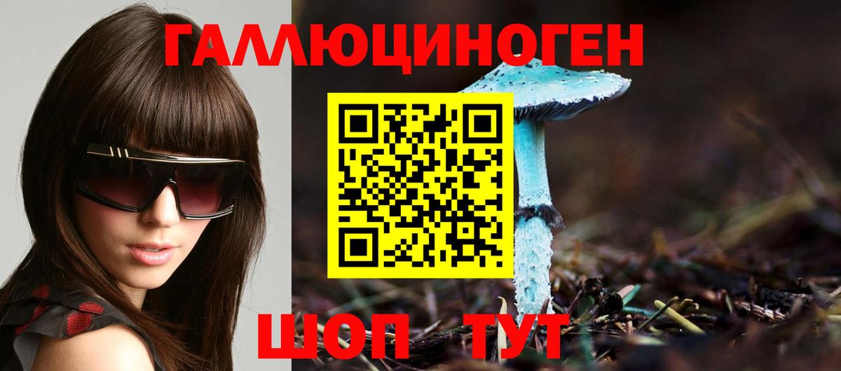Псилоцибиновые грибы ЛСД Тайшет